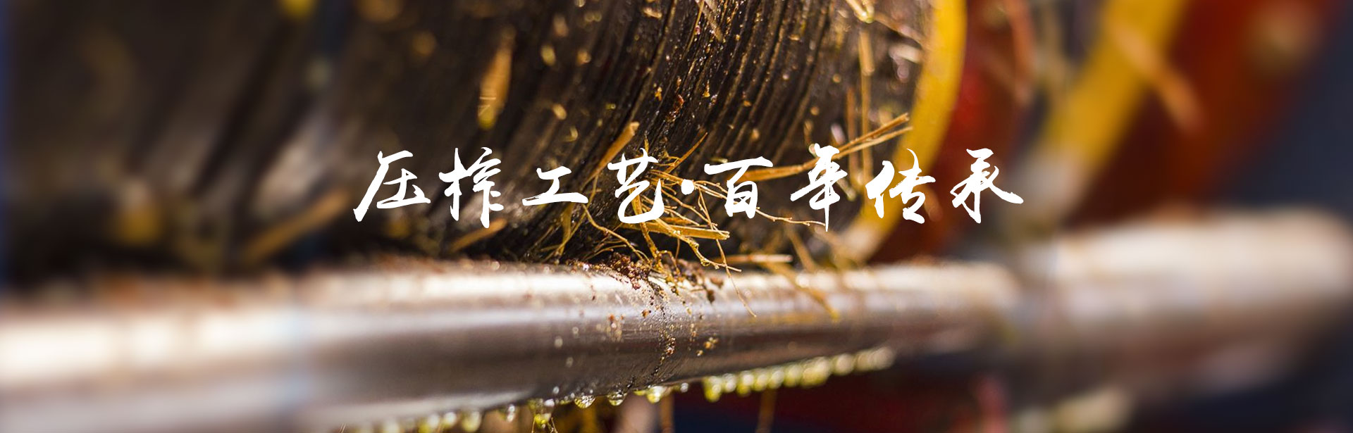 GA黄金甲_油茶种植出产加工销售|植物油种植出产加工销售 GA黄金甲_油茶种植出产加工销售|植物油种植出产加工销售