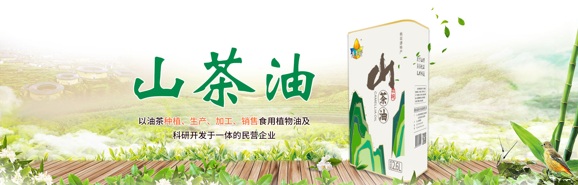 GA黄金甲_油茶种植出产加工销售|植物油种植出产加工销售 GA黄金甲_油茶种植出产加工销售|植物油种植出产加工销售